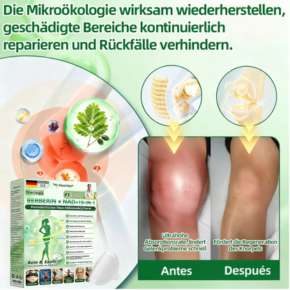 【Offizieller Shop】| 🍃 Healrize® Moringa · Berberin × NAD+ 10-in-1 Advanced Nano-Mikronadel-Pflaster Nicht-invasiv✔️Bei Fettleibigkeit, schlaffer Haut, Diabetes, Schlafapnoe, Gelenkproblemen und vielem mehr