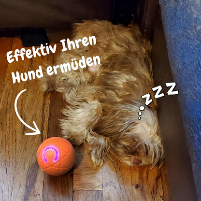 ✨Neuerscheinung 2025 – 50 % Rabatt – Hüpfball für Katzen 🐱 und Hunde 🥰
