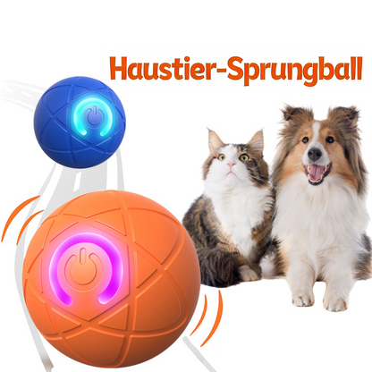 ✨Neuerscheinung 2025 – 50 % Rabatt – Hüpfball für Katzen 🐱 und Hunde 🥰