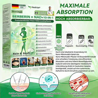 【Offizieller Shop】| 🍃 Healrize® Moringa · Berberin × NAD+ 10-in-1 Advanced Nano-Mikronadel-Pflaster Nicht-invasiv✔️Bei Fettleibigkeit, schlaffer Haut, Diabetes, Schlafapnoe, Gelenkproblemen und vielem mehr